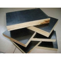 made in China melamine  plywood  block board commercial plywood film faced furniture cabinet